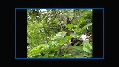 dehradoun ki bhabhi ko forest mai choda