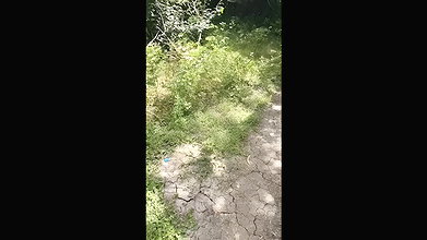 Desi step aunty out door sex video