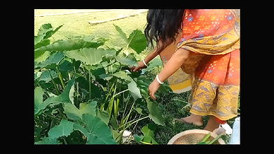 Bengali Village Boudi Outdoor with Young Boy With Big Black Dick