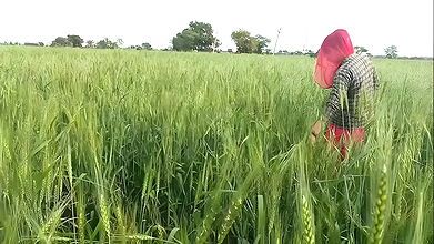 Indian Desi tight video, Desi beautiful girl first time video, Desi video