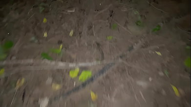 RICH GIRL FUCKING HARD IN JUNGLE HINDI ROLEPLAY AUDIO