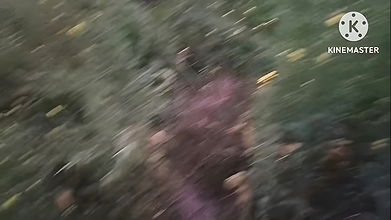 Outdoor sex Sister-in-law left in the mustard field