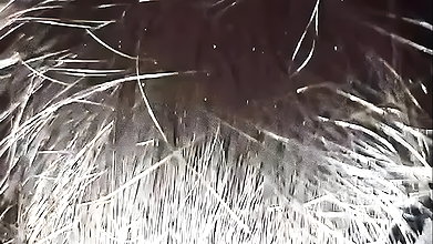 Hot sexy bhabhi Desi bhabhi cute pusssy videos Desi video xxx videos