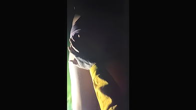 Picked up my younger sister-in-law and left her in the dock, thinking of her as my wife. Your sister-in-law blawjob hard-core