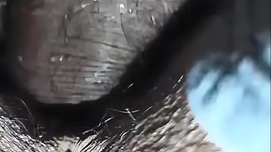 Pussy fucking