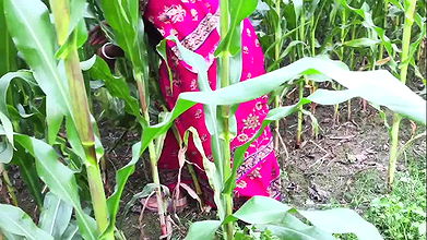 Outdoor jungle my bhabhi and me sex