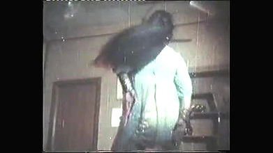 Random pk masala mujra video collection