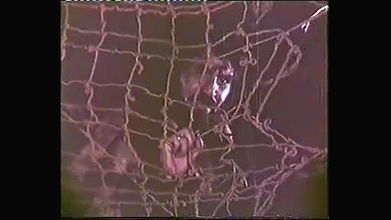 Random pk masala mujra video collection