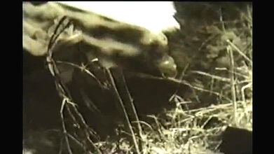 Random pk masala mujra video collection