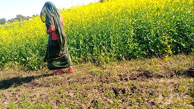 Stepsister fuked by stepbrother