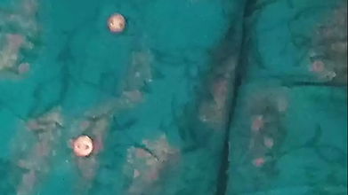 Tamil college girl shows on cam