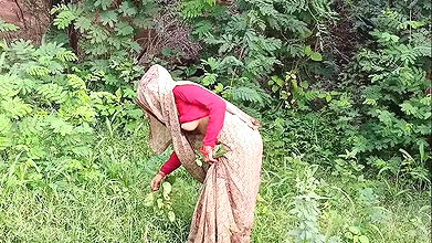 Jangal Mai bhabhi Chara Lenexa gyi aur buri fas gyi aur chudai