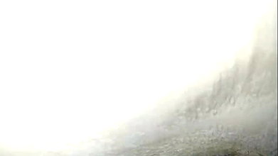 Collage girl fucking dogy style