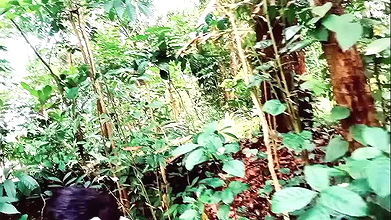 Desi wife fucking in outside with young boyfriend