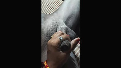 Desi Bhabhi suck my dick hard fucking