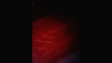 Youtuber Paromita vlog video collection -242