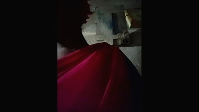 Youtuber Paromita vlog video collection -243