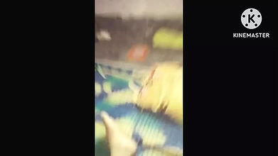 Hardcore Dogy Style Sex Home Boobs Big Big Ass Big Local Sex Boyfriend Girlfriend Sex Morning Sex Indian