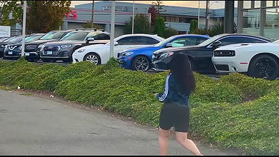 Global prostitute Uncensored video collection – 275