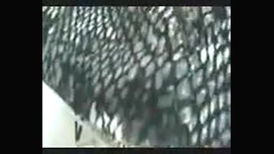 Global prostitute Uncensored video collection – 1326