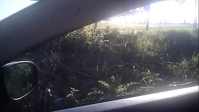 Global prostitute Uncensored video collection – 1370