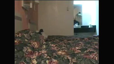 Global prostitute Uncensored video collection – 1693