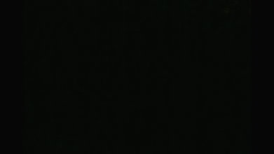 Global prostitute Uncensored video collection – 1970