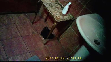 Global prostitute Uncensored video collection – 3301