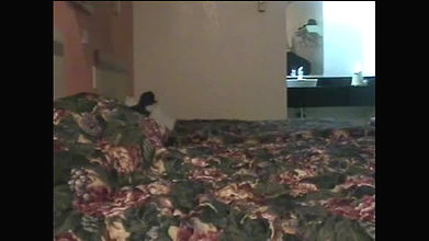 Global prostitute Uncensored video collection – 3941