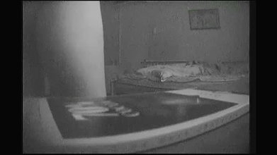 Global prostitute Uncensored video collection – 4129