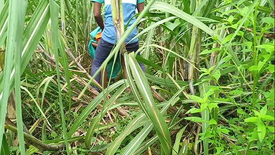 Brother-in-law Took Sister-in-law to the Forest and Fucked Her a Lot