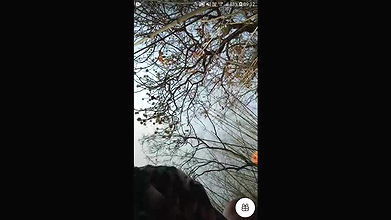 Daily spg STRIPCHAT collection 4242025-25