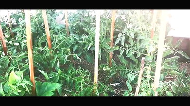 Beautiful girl flashes her buttcrack in the garden