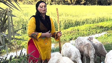 Desi Aunty Village Life Style Pakistani Desi Aunty Hot Vlog Village Woman Daily Routine Work