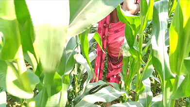 Indian Village Bhabhi Outdoor Vlog Enjoyed With Boobs Showing And Fingerings Indian Red Saree Remove Enjoyed Bhabhi Pregent