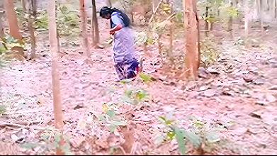 Telugu Randi Fucked in Forest