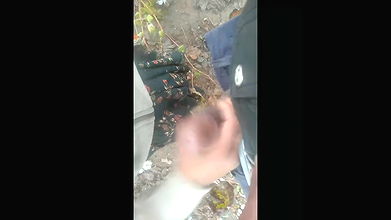 She Masturbated My Fat Cock in the Field