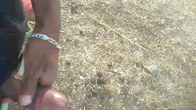 Sucked My Big Cock Outdoors