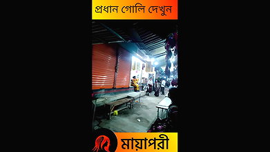 দৌলতদিয়া পল্লীর সব অলিগলি দেখুন   Daulatdia Polli New Video 2025