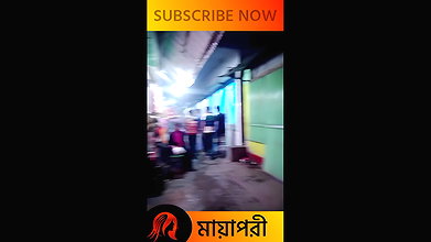 দৌলতদিয়া পল্লীতে কাজ করুন ৩০০ টাকায়   Daulatdia Polli new video 2025