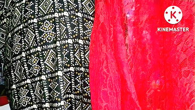 Payal Bhabi Ki Hot Romance with Her Stepbrother