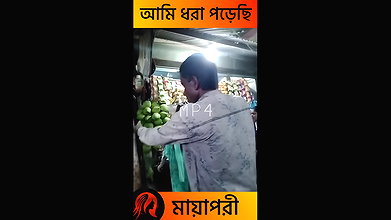 দৌলতদিয়া পল্লী নতুন ভিডিও   Daulatdia new video 2025