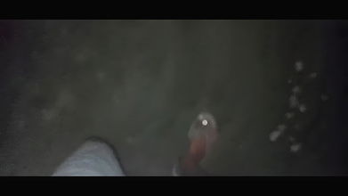 Indian Wife Beautiful Indian Boy Big Cock Blowjob Indian Porn Videos