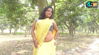 saree lover  saree photoshoot  saree fashion  indian beauty  Renu  high fashion  saree sundori