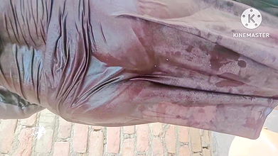 Seeing sister-in-law taking a bath, father-in-law killed sister-in-law’s gand full hot bathroom bhabhi bath