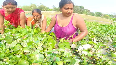 Big boobs bhabi fishing video 1