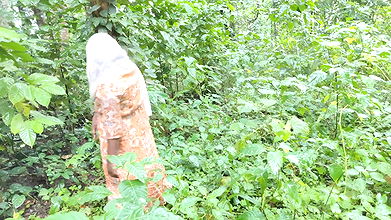 Outdoor Enjoying old Boy friend and Girl friend Fucking