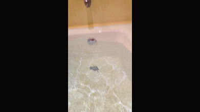 Webseries Ott Actress Preeti Puneet Showering 2 Clips ~ App Content 14