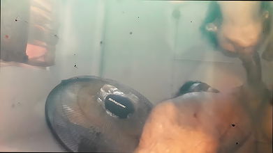 Sri Lankan Wonder Woman Tames Dick