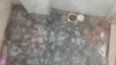 Nude Couple Bathing Whilst Suck Boobs